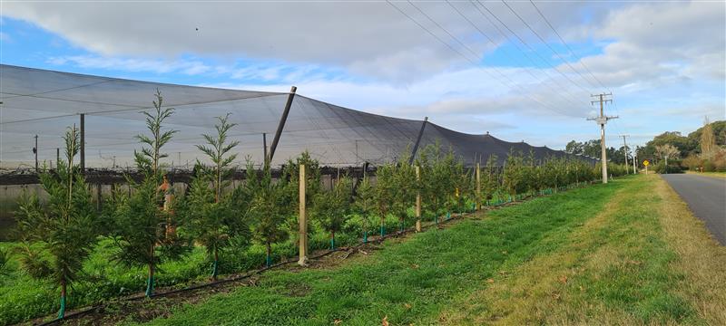 PC25 Shelterbelt