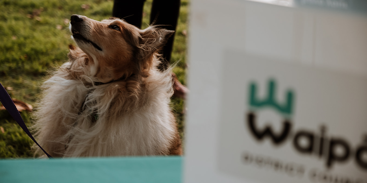 Dog Control Bylaw and Policy Review 2023 Have your say Waipā