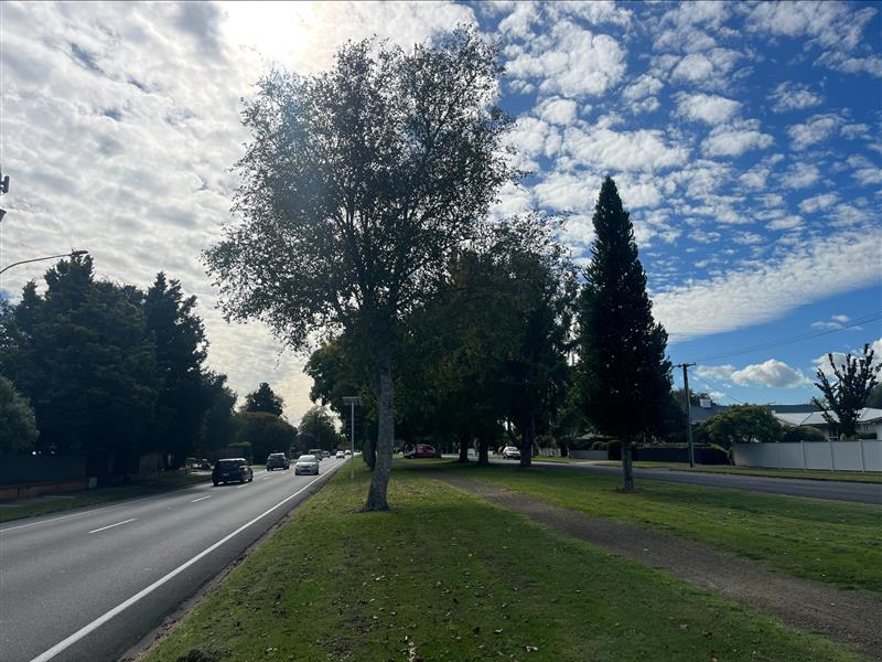 tree pruning on victoria st