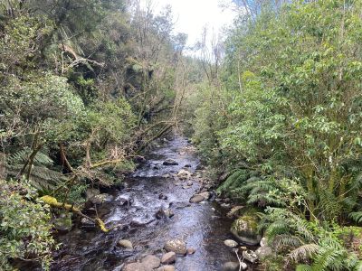 View downstream from the bridge